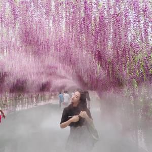 Meet your Posher, Veronica